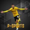 P-Sport debet